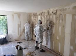 Professional Mold Removal Services in Myrtle Grove, FL